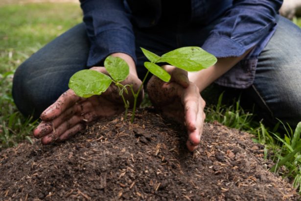 Agenor Vicente Pelissa