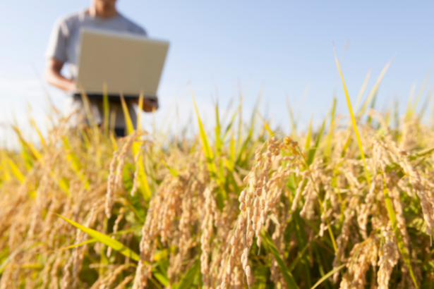 Carlos Eduardo Moraes Nunes