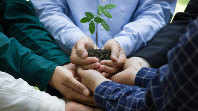 Para Elias Assum Sabbag Junior, o futuro do empreendedorismo está em negócios que respeitam o meio ambiente e geram valor econômico.
